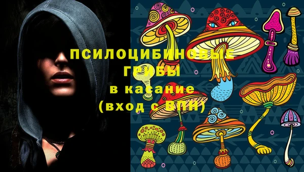 наркотики Ладушкин