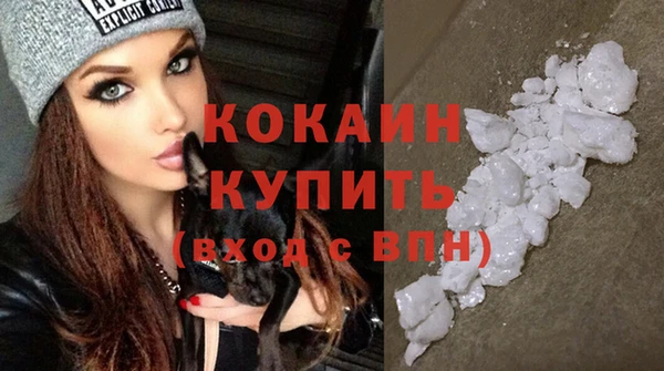 Альфа ПВП Лагань