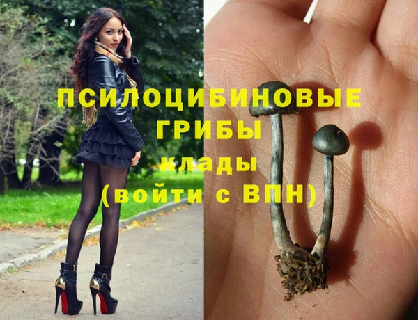 Альфа ПВП Лагань