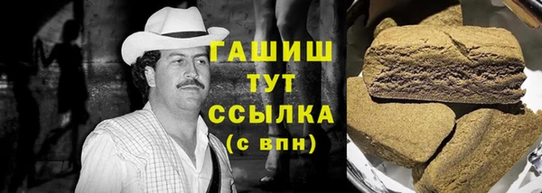 Альфа ПВП Лагань