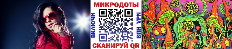 как найти закладки  Новосибирск  Галлюциногенные грибы Psilocybine cubensis 