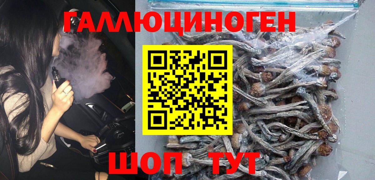 Галлюциногенные грибы мицелий Новосибирск