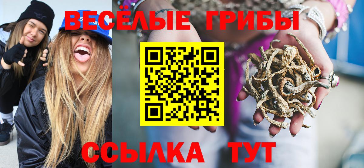 Галлюциногенные грибы Psilocybine cubensis  Галлюциногенные грибы Psilocybine cubensis  Новосибирск  где найти наркотики  Вход с VPN 