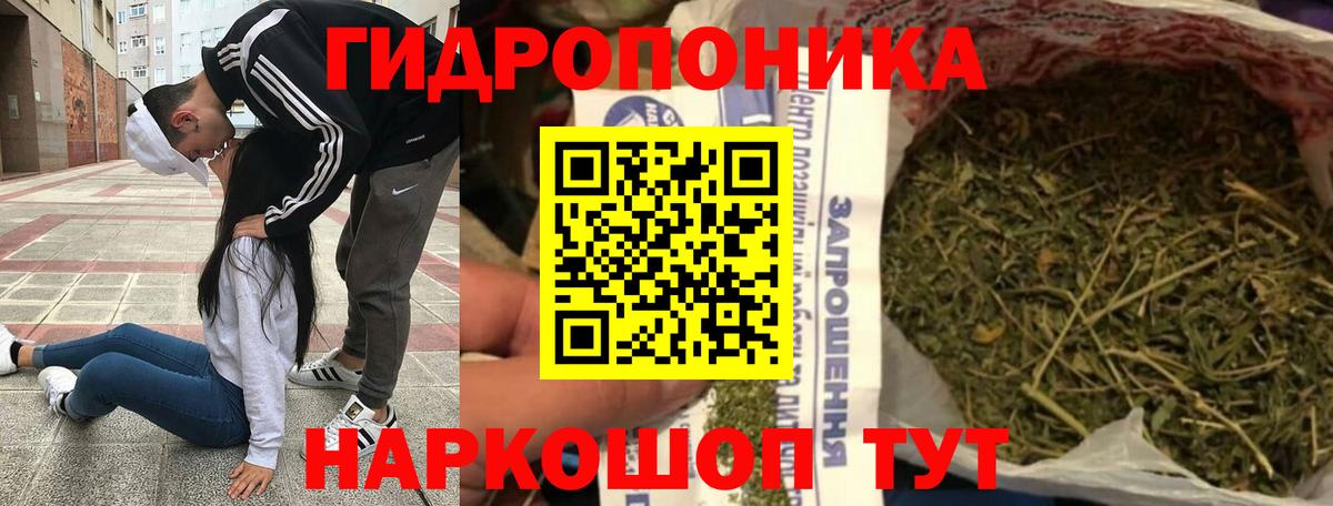 Бошки марихуана конопля  Бошки Шишки гибрид  Новосибирск  Вход с VPN 